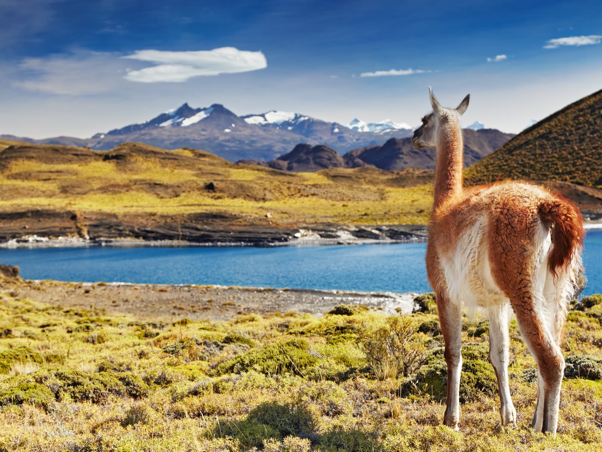 Andes Peru Bolivia