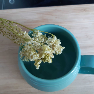 Wild herbs tea
