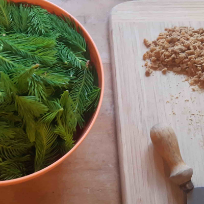 spruce sugar